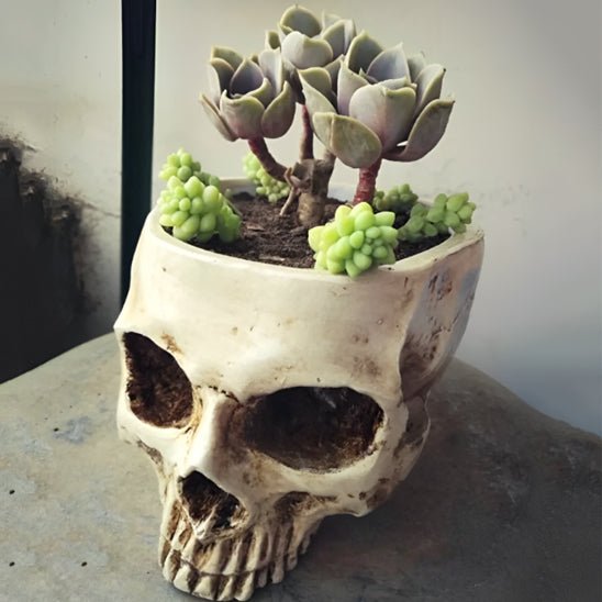 Pot de fleur | Skull - Mon Coin Jardin