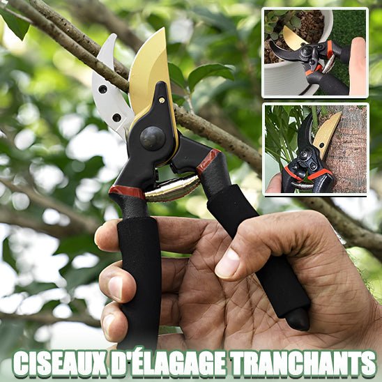 Sécateur Professionnel - L'Outil de Jardinage Indispensable - Mon Coin Jardin