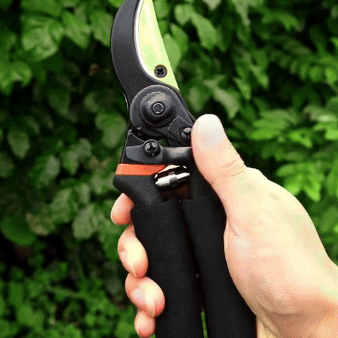 Sécateur Professionnel - L'Outil de Jardinage Indispensable