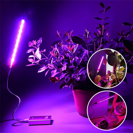 Lampe pour Plante - Mon Coin Jardin