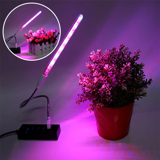 Lampe pour Plante