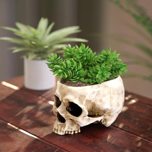Pot de fleur | Skull - Mon Coin Jardin