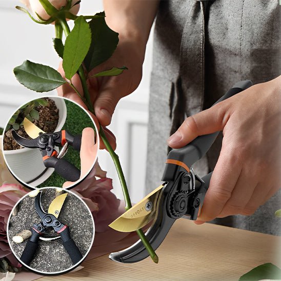 Sécateur Professionnel - L'Outil de Jardinage Indispensable - Mon Coin Jardin